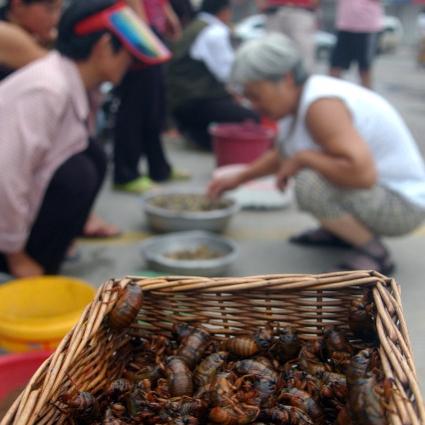 吉林白城人有什么特点，吉林白城疫情防控情况怎么样