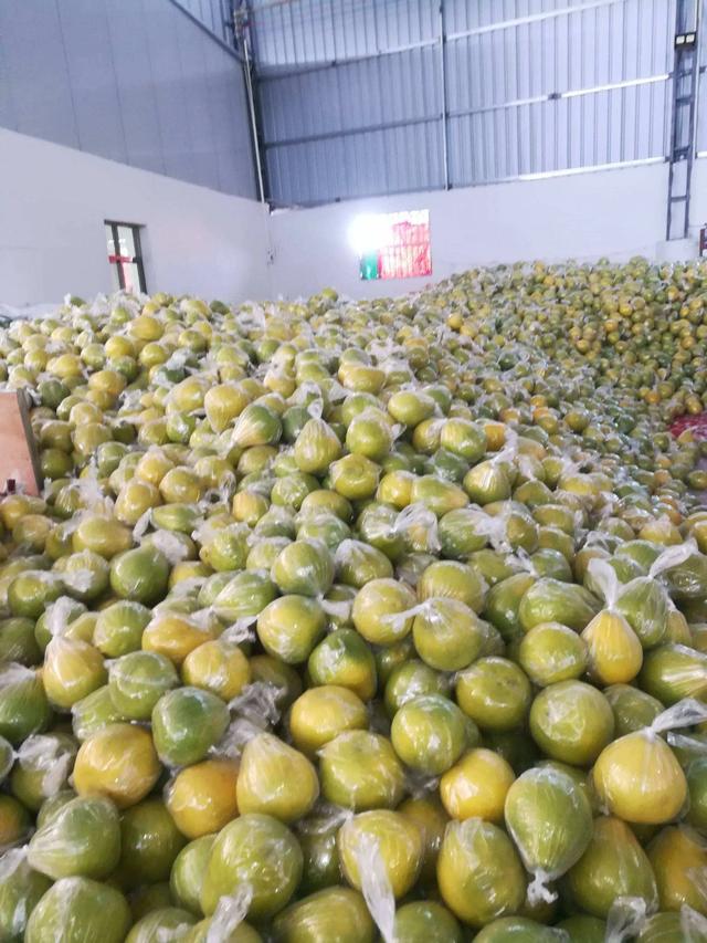 过年了,谁知道有没有什么好点的兼职项目呢？