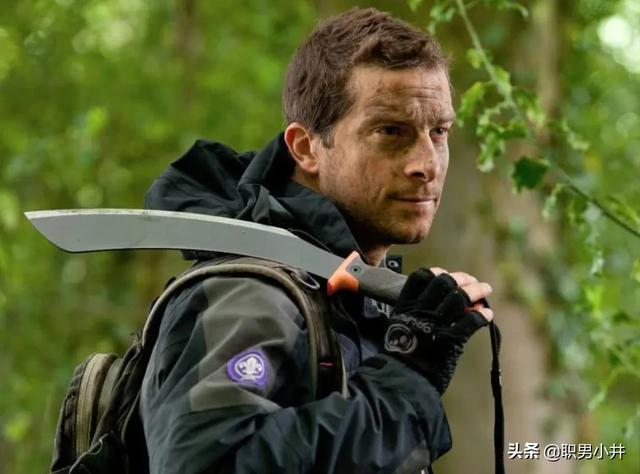 一个成年男性手持铁棍能否打得过一只成年雄狮