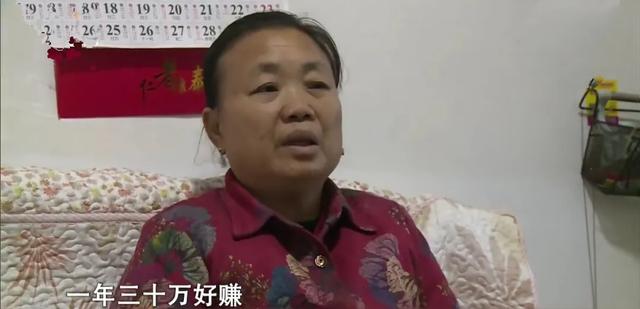 成都天宠网纯种猫交易群:惯子如杀子，溺爱出逆子。你见过被宠到无药可救的“巨婴”吗？