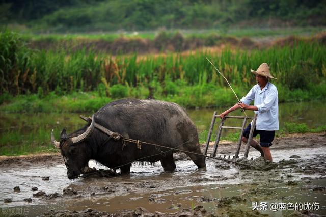 十二生肖谁最抠门，十二生肖哪个生肖最大方？哪个生肖最小气？