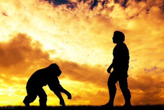 狗狗国外网站大全人猿杂交:美国人对黑人做过哪些可怕的事儿？