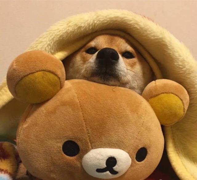 有什么有意思的微信头像?-百科网