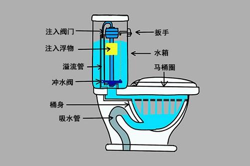 膨润土猫砂堵住蹲厕了:为什么家里的马桶不能把用过的手纸一起冲掉？