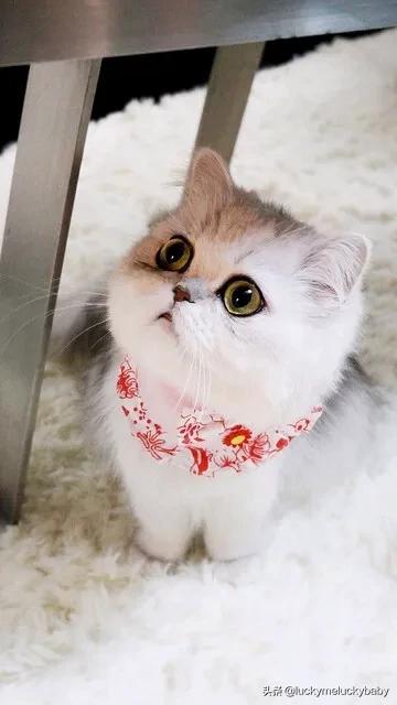 跟同性的女老师关系特别好是种什么体验？
