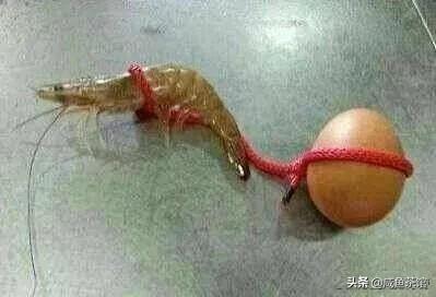 张鲁江:你认为福建莆田欧金中还活着吗？