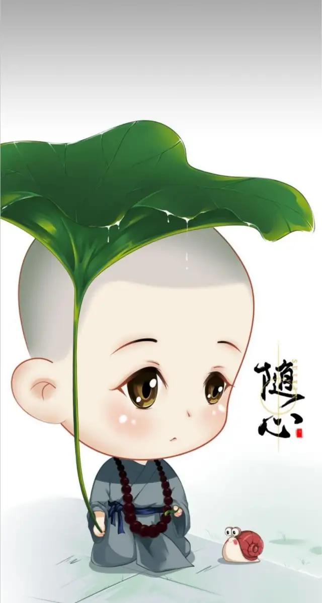 有哪些非常漂亮的图片和壁纸？