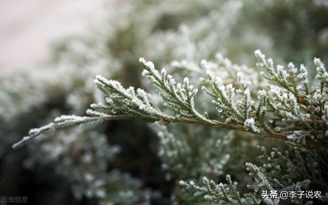 2021奇异天象有哪些，老人说“雷打雪，人吃铁”，今天多地雷打雪了，会有什么后果