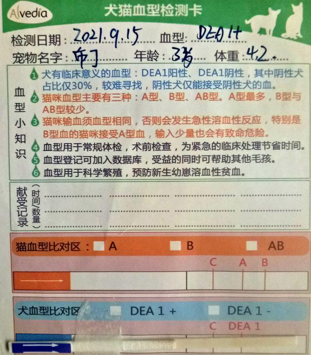 宠物寄生虫性皮肤病测试题:人和宠物可能共患的疾病有哪些？