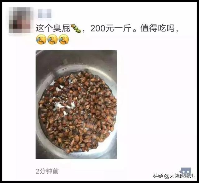 山蛩虫哪里有卖:山蛩虫图片 山蛩虫对农业有什么危害？