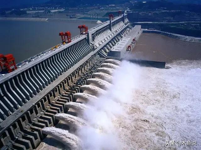 三峡水库蓄水差不多年了 你觉得如今里面最大的鱼能有多大 木鱼说的回答 头条问答