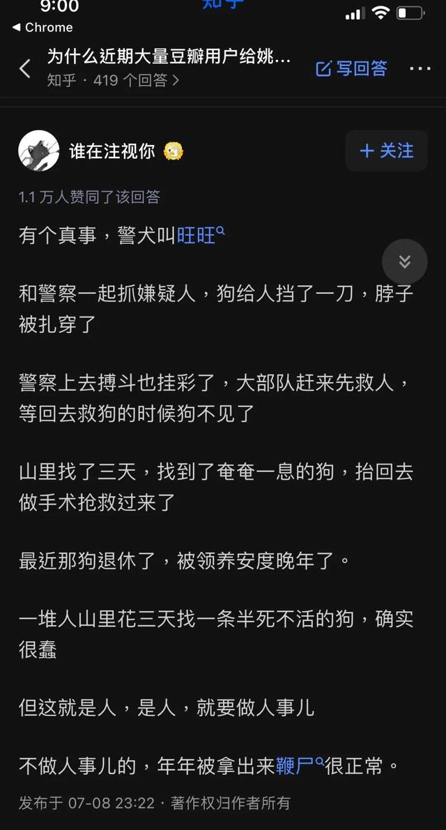 宠物志愿 全cg:宠物志愿全cg攻略 “杀狗虐猫”的影视剧，什么时候凉？