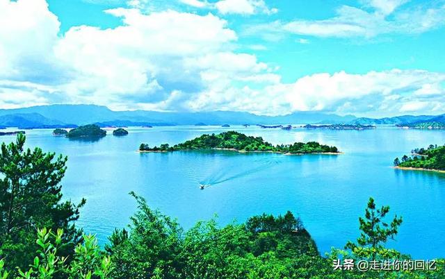 9年前湖中曾出青鱼王212斤:澄江的青鱼为什么那么鲜美？
