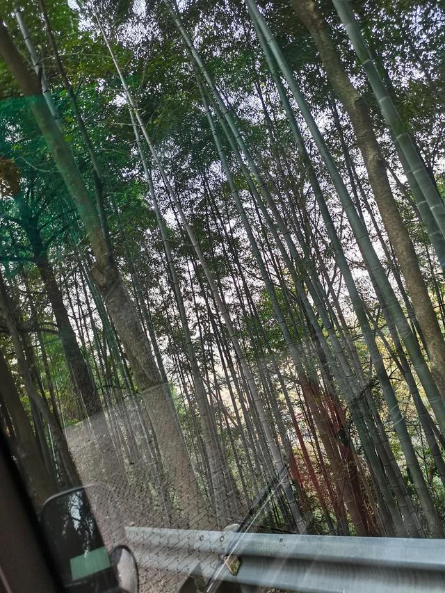 骆琦家庭背景:一个中年丧夫的女人，十年没有再找，她是怎么熬过来的