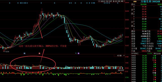 如果1996年买500股云南白药，一直不动，现在市值会是多少？插图1