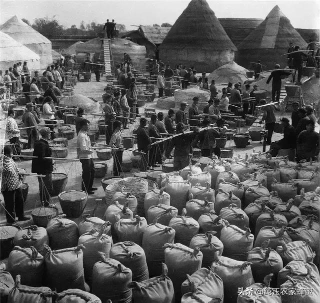 生产队时期,队里一下收那么多粮食如何晾晒,不怕捂坏吗?-惠修网