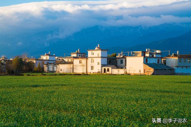 会爬树的鱼免费阅读:为什么有人说退休后千万不要回乡下老家生活？