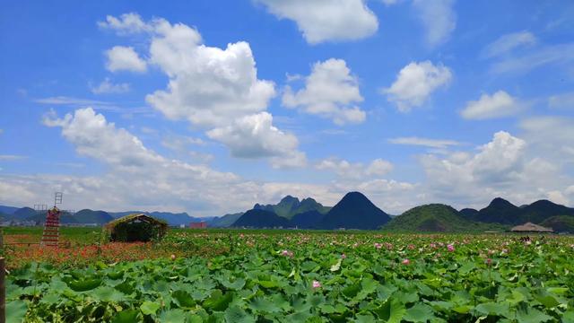 2022年春节,想知道现在适合去哪里旅游？