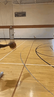 山羊扣篮:NBA真正可能摸到篮板上沿的人都有谁
