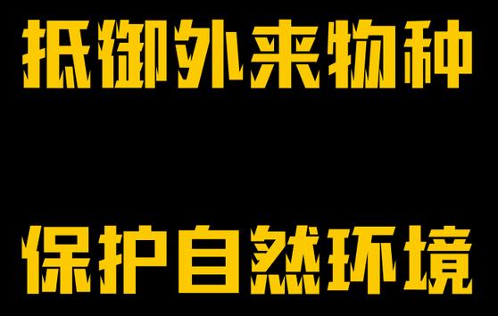 红眼雪貂:罕见雪貂现身四川成都！受伤后求助人类，为何说这并不是好事？
