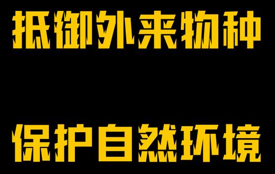 四川是不是出现了龙，罕见雪貂现身四川成都！受伤后求助人类，为何说这并不是好事