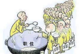 刚拿到毕业证,但是不知道找什么工作好,很迷茫,怎么办？