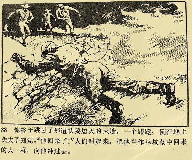 食人鱼图片:南美洲食肉蚁是“人兽通吃”，这是真的吗？