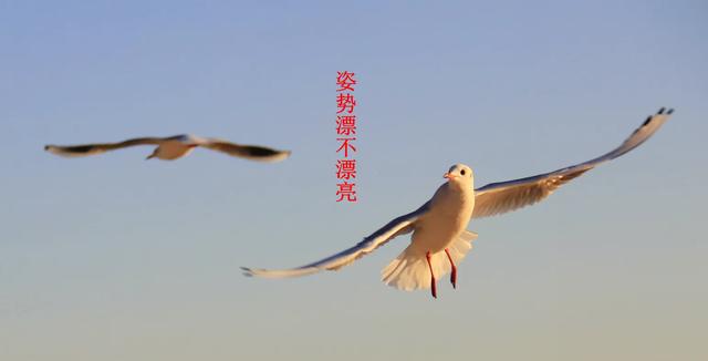领导嘱咐我要愿吃亏,亏得起,还要亏的大气磅礴。背后有何深意？