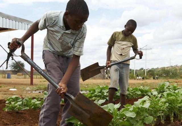 非洲土地广袤，为什么那里的人不种地，他们吃什么？插图16