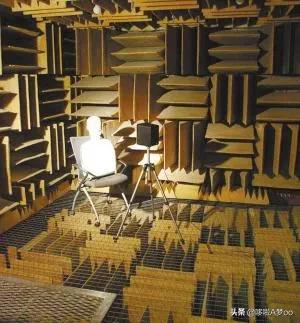 为什么有人说很少有人能在绝对静音无声的密室里撑过1小时？插图52