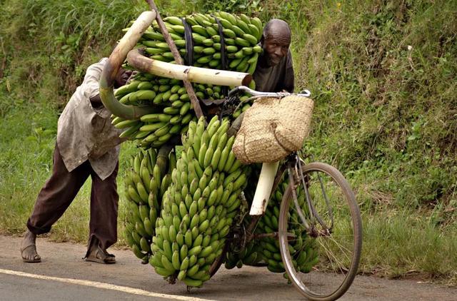 非洲土地广袤，为什么那里的人不种地，他们吃什么？插图19