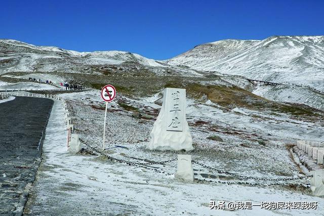 中国猎犬论坛大部队追兔:既然在中国有日吹、美吹等，那么在其他国家有没有“中吹”？
