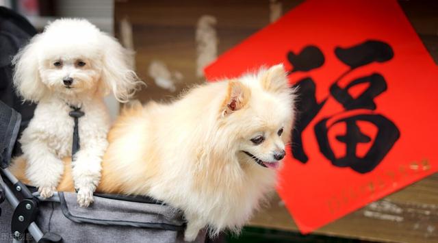 调教女犬大腿环阴环阴链电影:除夕和大年初一有哪些禁忌？