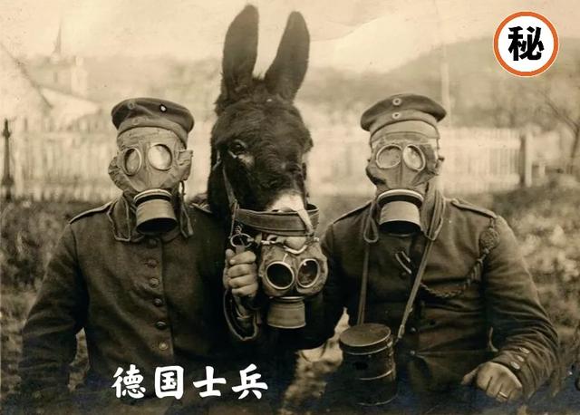 芥子毒气:二战时期日本人鼻下都留着一撮胡子，现在为什么不见了