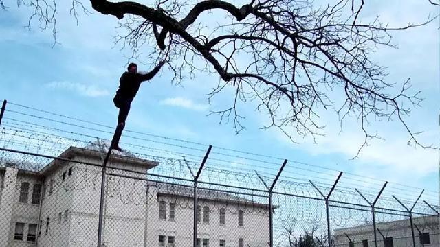 付彪图片:如果被抓进精神病医院了，怎么才能证明自己不是神经病？