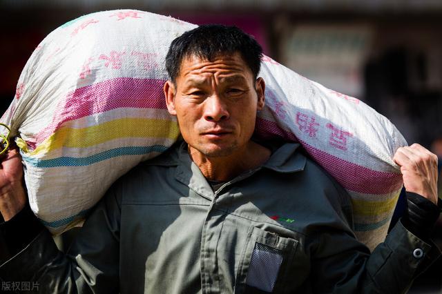 网购360宠物之家图片大全:有多少人一年四，五万都存不到？