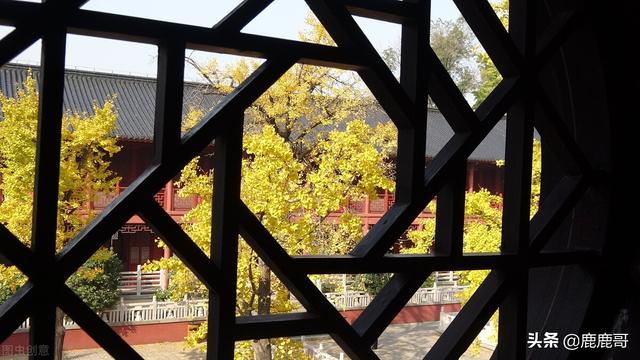 你有没有经历过说出来都没人相信的事情？插图15