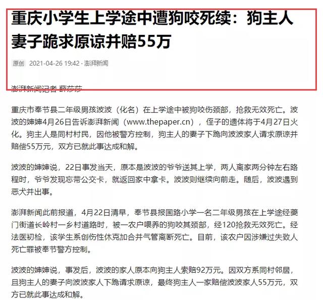 重庆藏獒伤人:如何看待福建漳州七旬老人被恶犬撕咬至死，狗主仅愿赔10万？