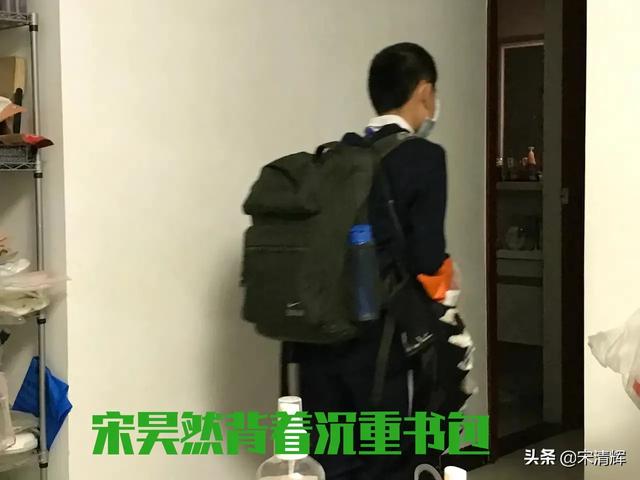申世辉:如何运用立干法和分枝法画好山水画中的树