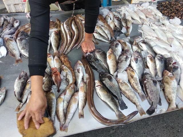 秋刀鱼在日本非常受欢迎，为何中国人却不喜欢吃呢？插图25