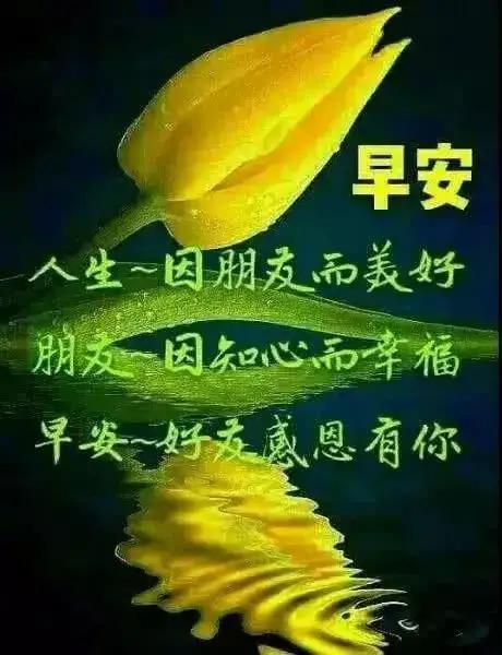 如果完全按照道德与法治课本上做人会怎样