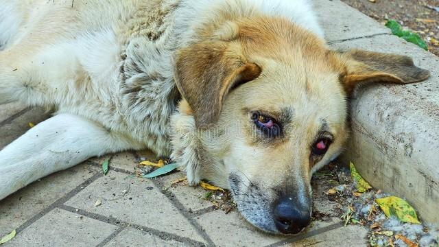 你有没有经历过说出来都没人相信的事情？插图6