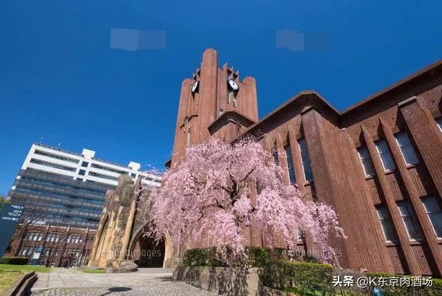 我在日本留学,出国6年了,发现毕业的学长们回国找的工作都好一般啊,突然迷茫出国的意义是什么？