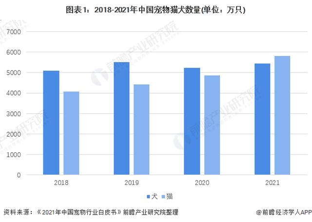 美国宠物保险如何使用:爱宠狂魔，宠物社保是怎么回事？