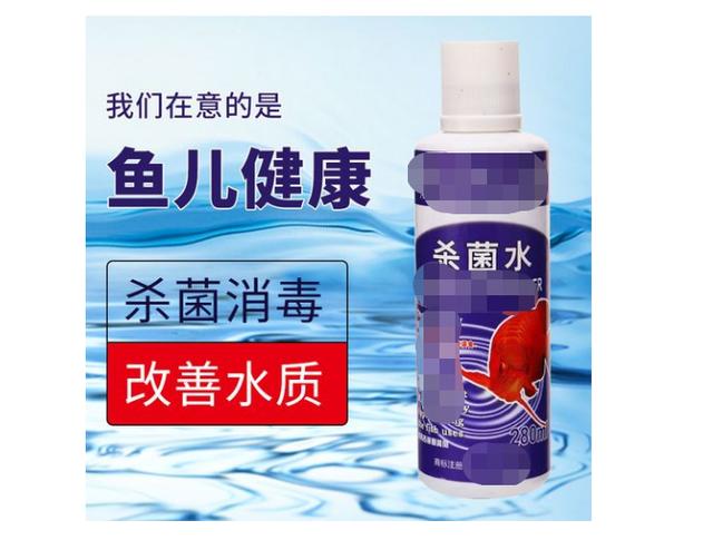 中国观赏鱼之家在线观看:新买的鱼缸，水混怎么办啊？