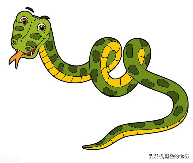 属蛇最怕的是什么，生肖蛇最令伴侣难以忍受的缺点是什么
