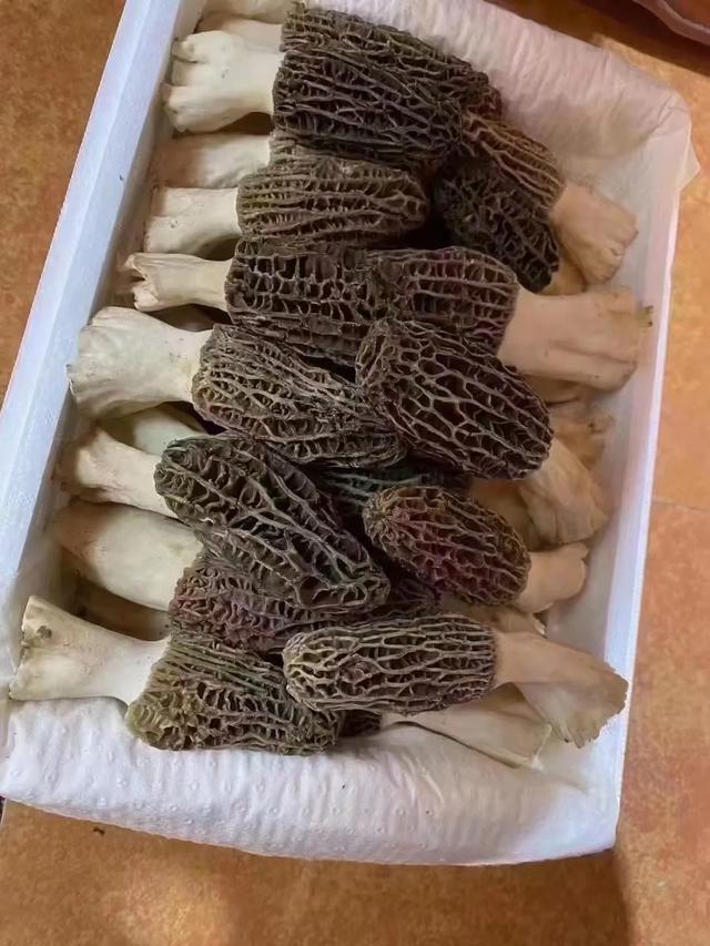 农村干什么容易致富？