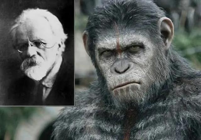 人与猩猩能生小宝宝吗 人和猴子能生育后代吗