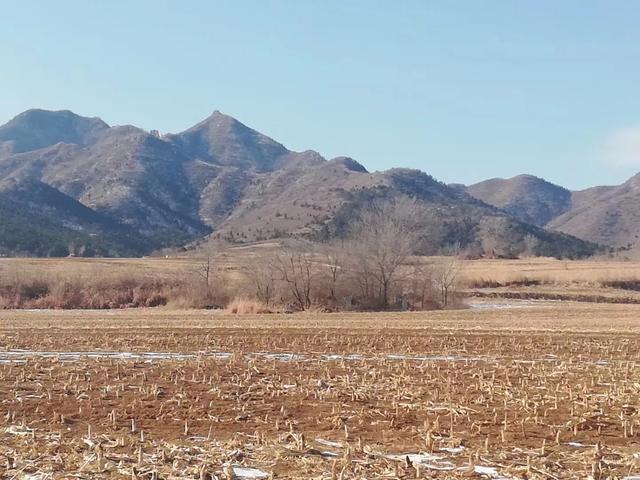 头条问答 亲人离世后 骨灰不想放陵园 骨灰能放家里吗 谁能告诉我可以吗 100个回答