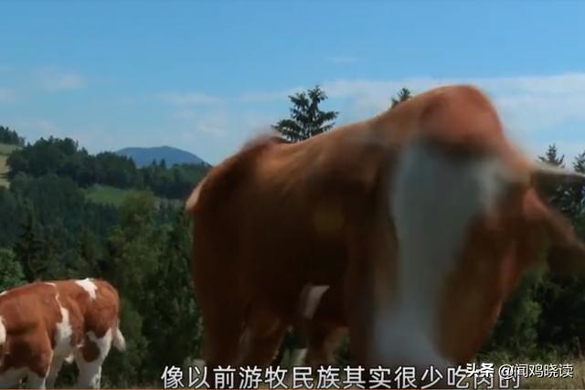 最新的关于中国的纪录片，公益记录片《素食行者》所传递的理念你同意吗